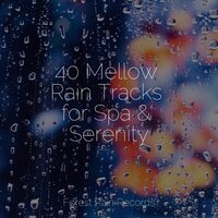 Rain in the City - The White Noise Zen & Meditation Sound Lab & Dr. Meditation & Natureza