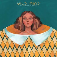 Wild Mind - The Cautious Arc & Romeo's Fault