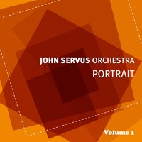 Tema del sud - John Servus Orchestra