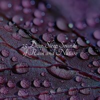 Rainy Roads - The Sleep Specialist & Zarobi & Rain and Nature