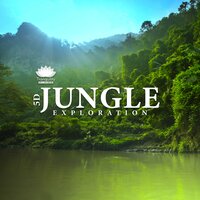 Jungle Ambience - Tranquility Spa Universe & Natural Healing Music Zone