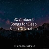 Soothing Symphony - Asian Zen: Spa Music Meditation & Musica Reiki & Entspannungsmusik