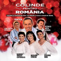 Fulgi Albi, Fulgi Dalbi - Constantin Enceanu & Raoul & Petrică Mîțu Stoian