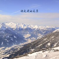 月明星稀 - 柒琴留韵