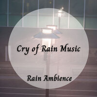 Work Music - Rain Sounds ACE & Music for Focus and Concentration & Music for Sleeping Ensemble
