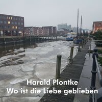 Wo ist die Liebe geblieben - Harald Plontke
