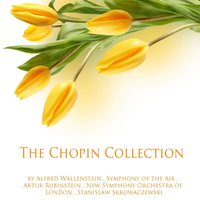 Piano Concerto No. 2 in F Minor, Op. 21: II. Larghetto - Arthur Rubinstein & Symphony of the Air & Alfred Wallenstein & Фридерик Шопен