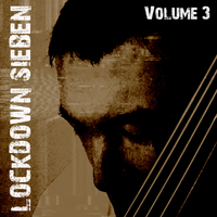 I Saw a Face - Sieben