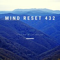 Walking in the woods - Mind Reset 432