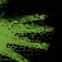 TEK - Monty & Visages