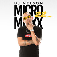 Micro Mixx Vol. 22 - Dj Nelson