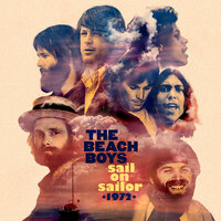Wonderful / Don’t Worry, Bill - The Beach Boys