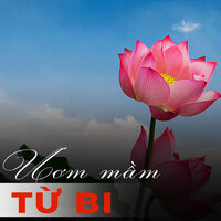 Thao thức vì em - Lý Hải & Hoàng Châu