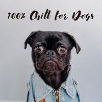Nap Time - Pet Music Academy