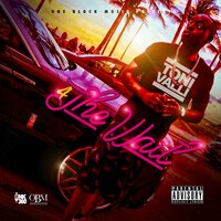 Sweep Up The Shake - Toni Valli