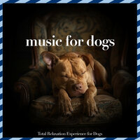 Melodic Twilight - Relax My Dog & Dog Music Therapy & Pet Music Therapy