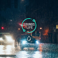 Rain Driving and Traffic, Pt. 6 - Sounds Of Life