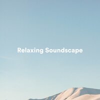 Phazer - Peaceful Zen & Musica Relax Academia & Relaxamento Soundscape