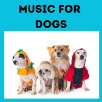 Dreaming of Bacon - Music for Dogs & Music for Dogs Peace & Relaxing Puppy Music & Calm Pets Music Academy