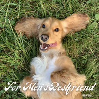 Scratch on belly - Music For Your Dog & Music for Dog's Ears & Relax My Cat