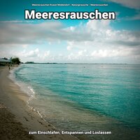 Bewegende Momente - Meeresrauschen Ruwen Middendorf & Naturgeräusche & Meeresrauschen