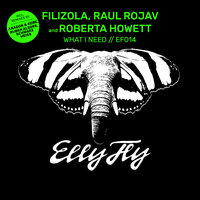 What I Need - Filizola & Raúl Rojav & Roberta Howett