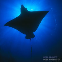 Blind Cave - Reef Project