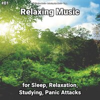Relaxing Music, Pt. 48 - Meditation Music & Relaxing Spa Music & Yoga