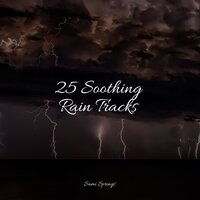 Birds Singing in the Forest - Smart Baby Lullaby & Thunderstorms & Ambient Arena