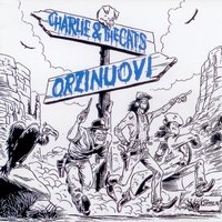 Orzinuovi - Charlie