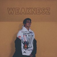 Сэнсей - maxzon