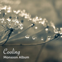 Tiny Raindrops - Ambientalism, Sleep Tight, Sound Sleeping & Sound Sleeping & Sleep Tight & Ambientalism