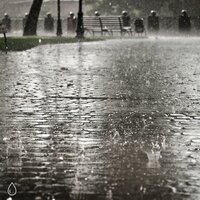 Nature is Delightful - Rain Noise Channel