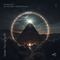 Under the Lights - Sensitive (It) & Ric Niels