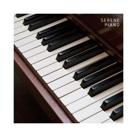 Tranquility in a Forest - Relaxing Piano Masters