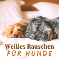 Langsam Einschlafen - Dog Whisper
