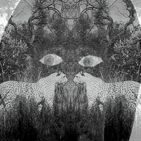 Reverence - Rakka