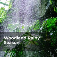 Muddy Jungle Rain - Nature and Rain & Deep Rain Sampling & Jungle Rain