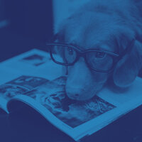 Wonderful Backdrops for Calm Puppies - Dog Music Radio