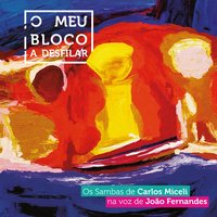 O Meu Bloco a Desfilar - Joao Fernandes