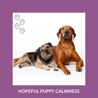 The Purest Warm Hugs - Relaxing Dog Music