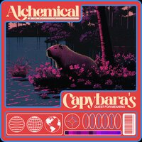 Confident and Concealed Coves - Calming Music For Pets