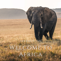 Welcome to Africa - Infraction Music