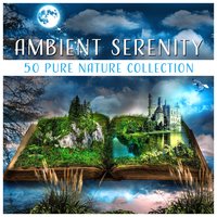 Calming Relaxation Meditation Music - Relaxing Music Master