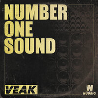 Big Up - Veak