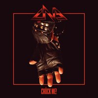 Liars N' Thieves - Chuck Norris Experiment