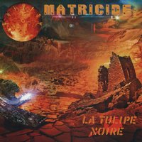 Midas Touch - La tulipe noire