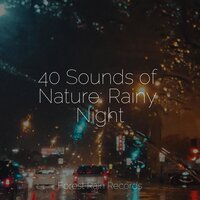 White Noise Rainy Forest - Academia de Música para Massagem e Relaxamento & Meditation & Meditacao Clube