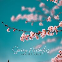 Melodic Harmony - Calm Nature Oasis