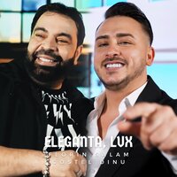 Eleganta, Lux - Florin Salam & Costel Dinu